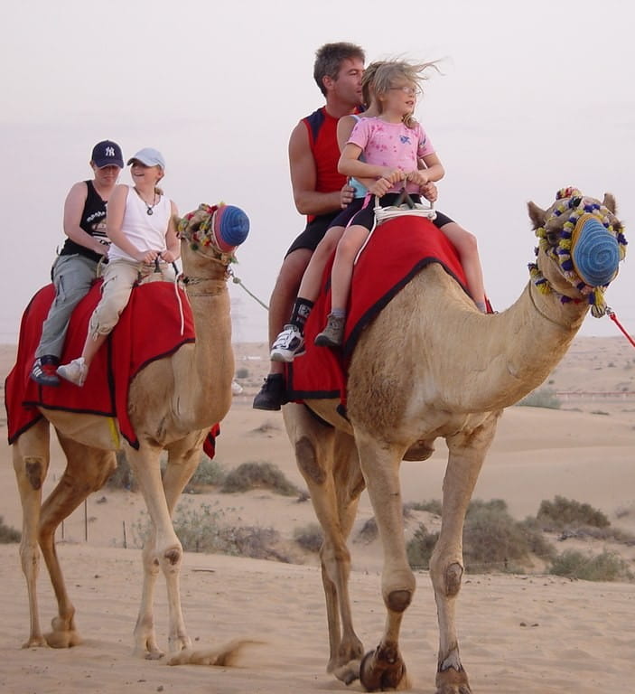desert safari camel ride